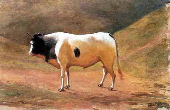Benedito Calixto Ox grazing France oil painting art